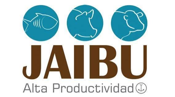 JAIBU